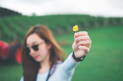 矛与盾的对决