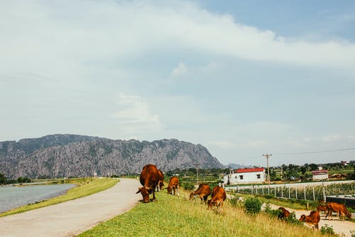 阴阳学堂