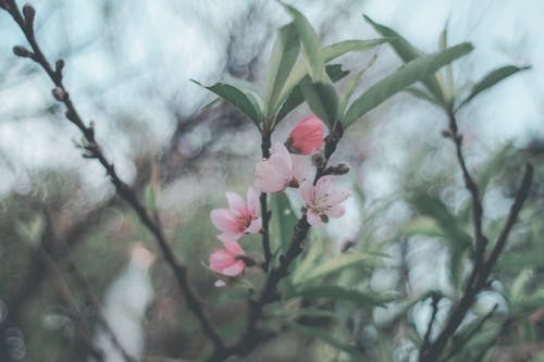 天地由我主沉浮