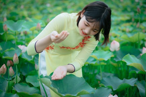 网王未婚生子