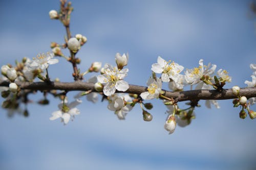 霸道老公放肆爱