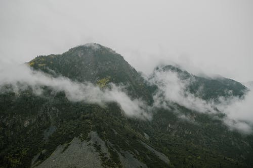 一胎二宝毒医王妃太难宠