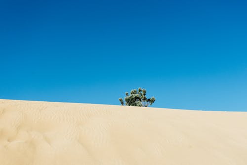 晚清风云之北洋利剑