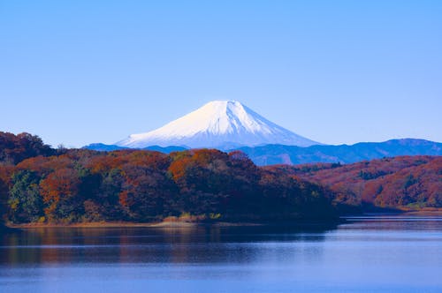 二次元逍遥仙