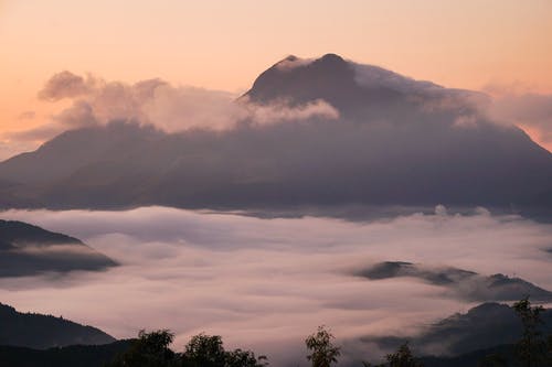 山椒鱼半藏