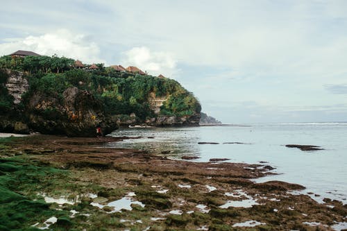 校园风流邪神传