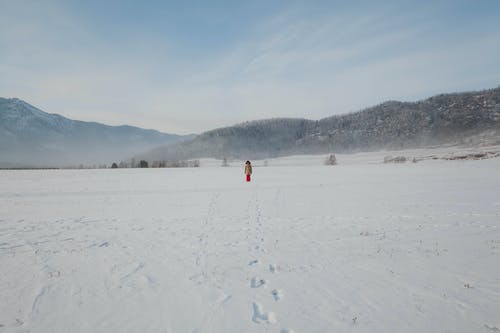 雪之下雪乃