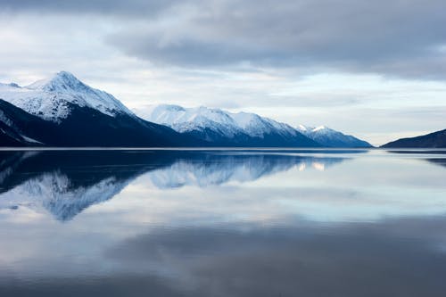 顾南笙陆北城