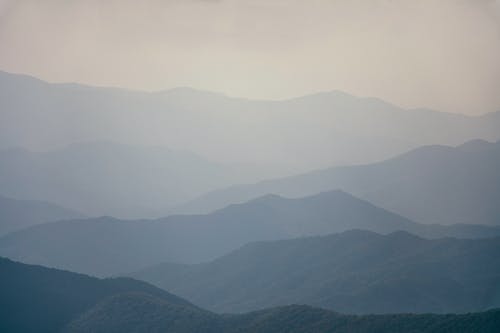 现代风流霸主