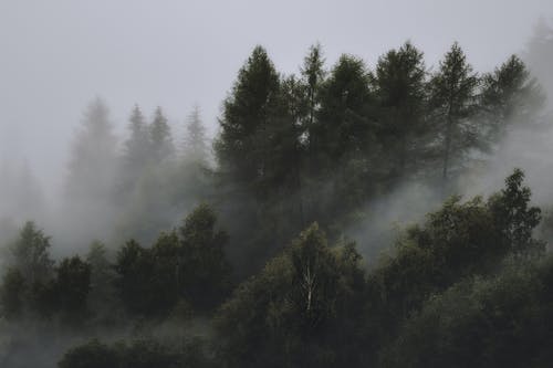 混沌修真诀