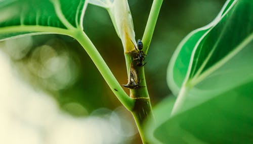 夫人每天在打脸线