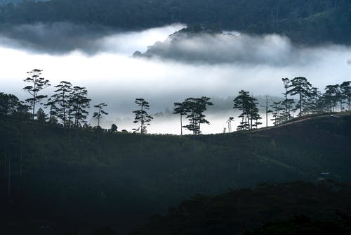 生化魔兽研究员