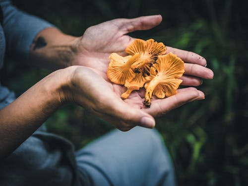 交错时光的爱恋