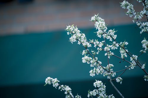 算命大师是学霸