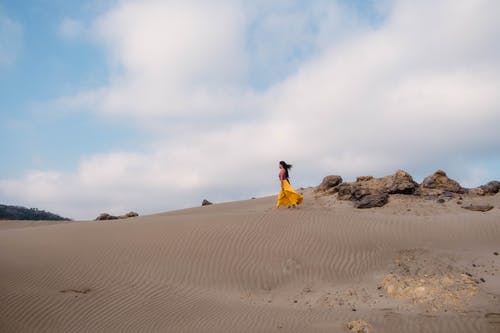 花都神医陈轩